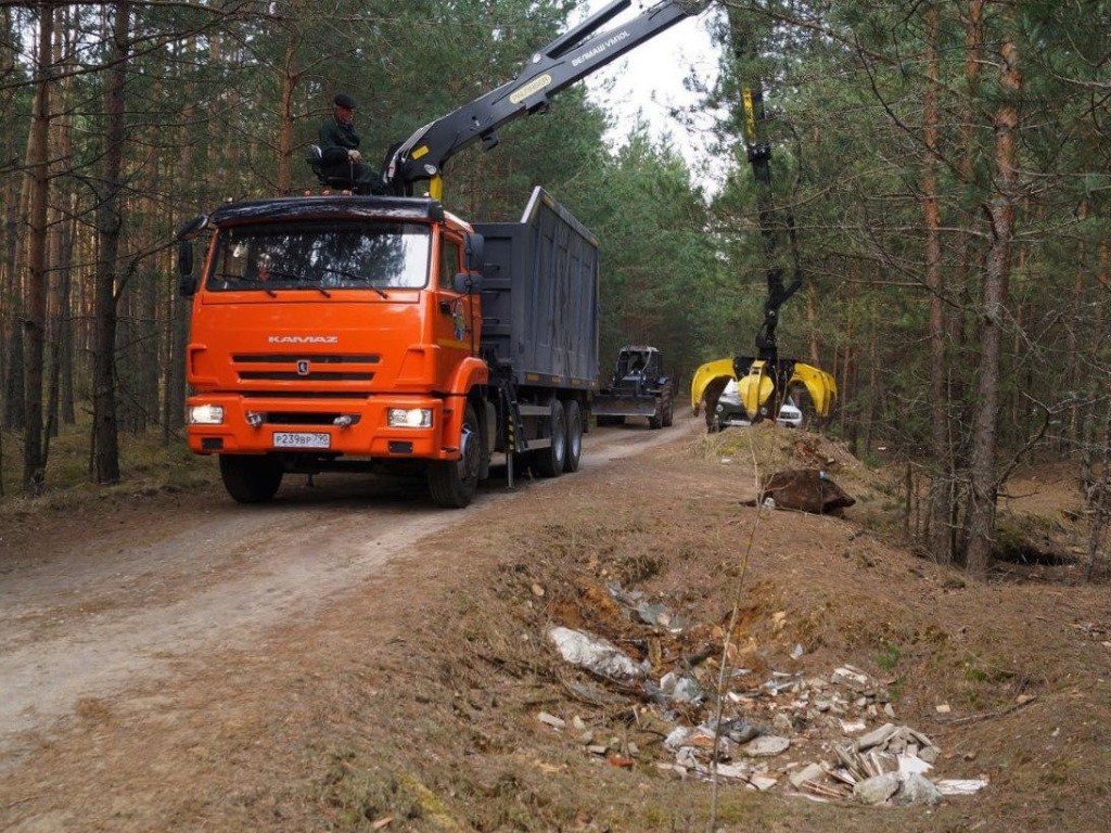 В Подмосковье убрали более 260 свалок в лесах с начала года