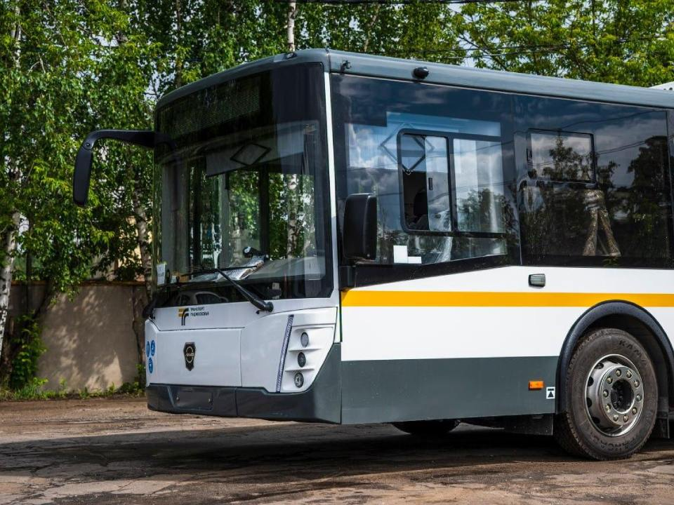 Планы на выходные: куда можно отправиться на автобусе из Бронниц