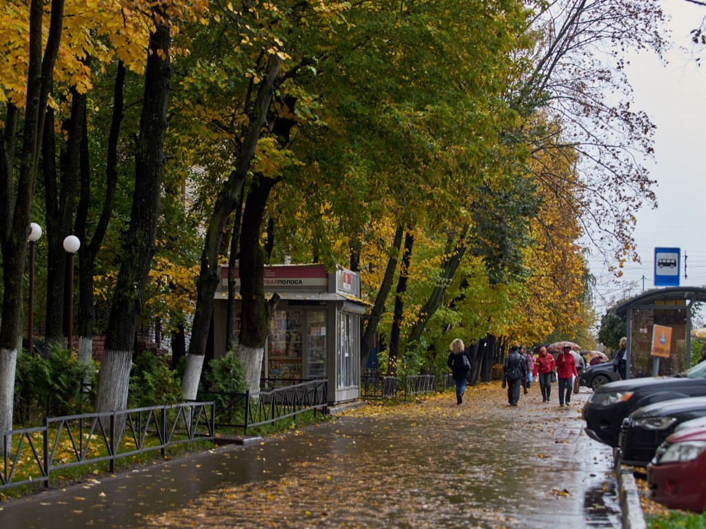 Какая погода будет в сентябре, рассказали синоптики