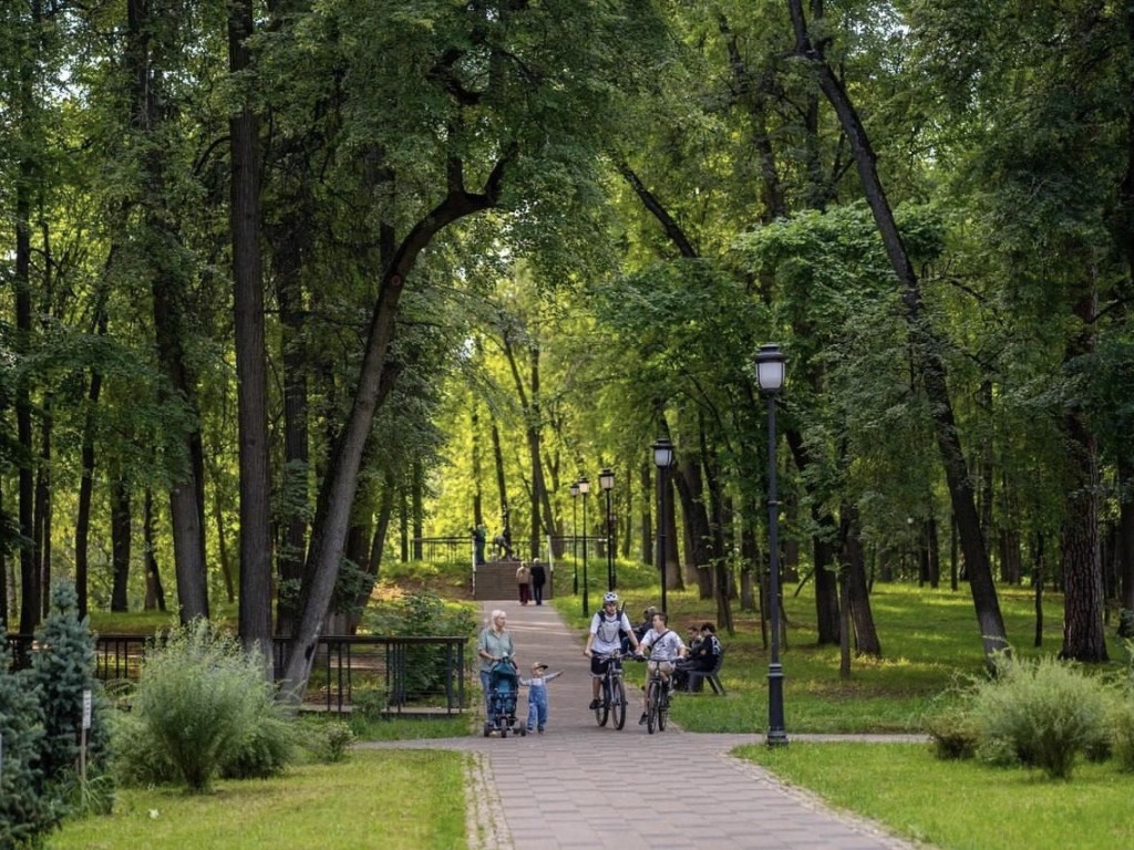 Жителей Раменского округа пригласили на «Народные забавы» в городском парке