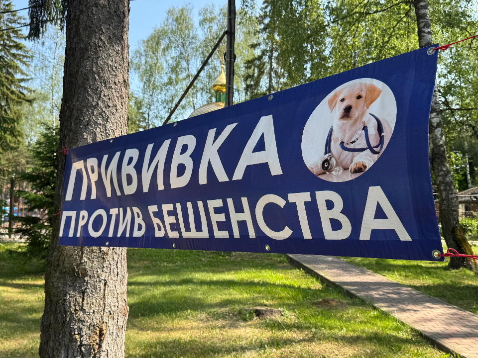 В августе в парке «Губайловский» дважды проведут бесплатную вакцинацию животных