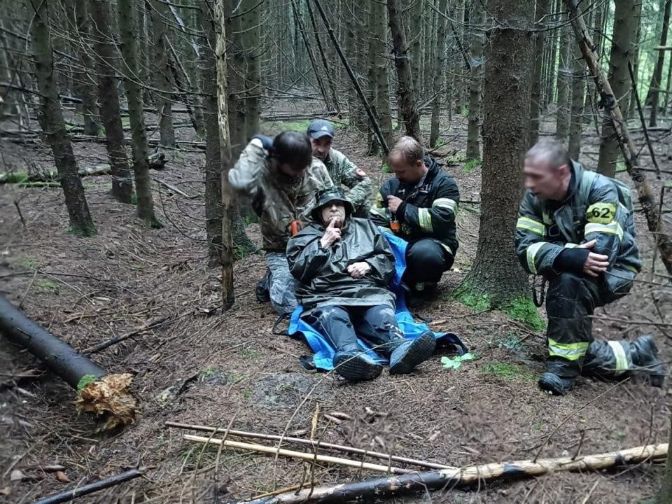 Пожилой женщине помогли выйти из леса в г.о. Домодедово