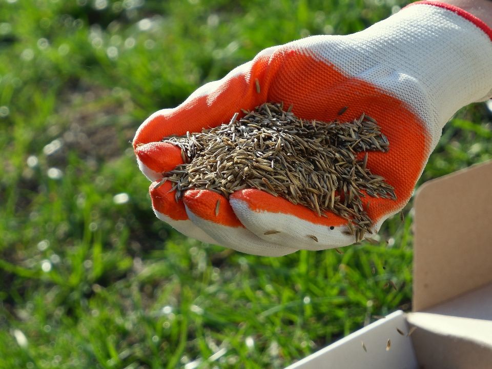 Подрядчик восстановит благоустройство на улице Клубной после обращения жителей