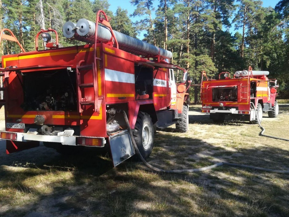 Прогноз пожарной опасности в лесах Подмосковья на 16-18 августа