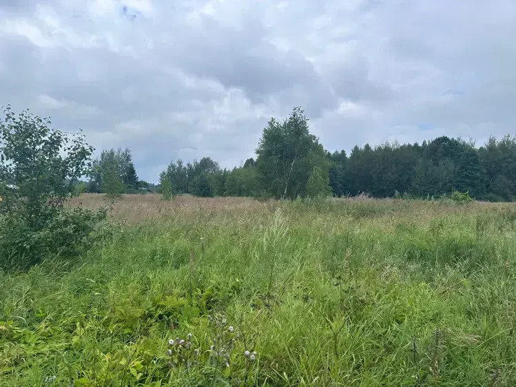 Борьба за участки под ИЖС развернулась в Подмосковье
