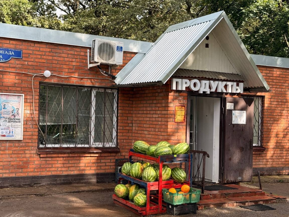 Незаконную точку продажи арбузов и дынь закрыли в Лобне