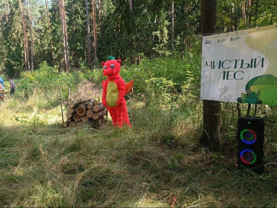 В Луховицах в рамках акции «Чистый лес» убрали 12 м³ древесины