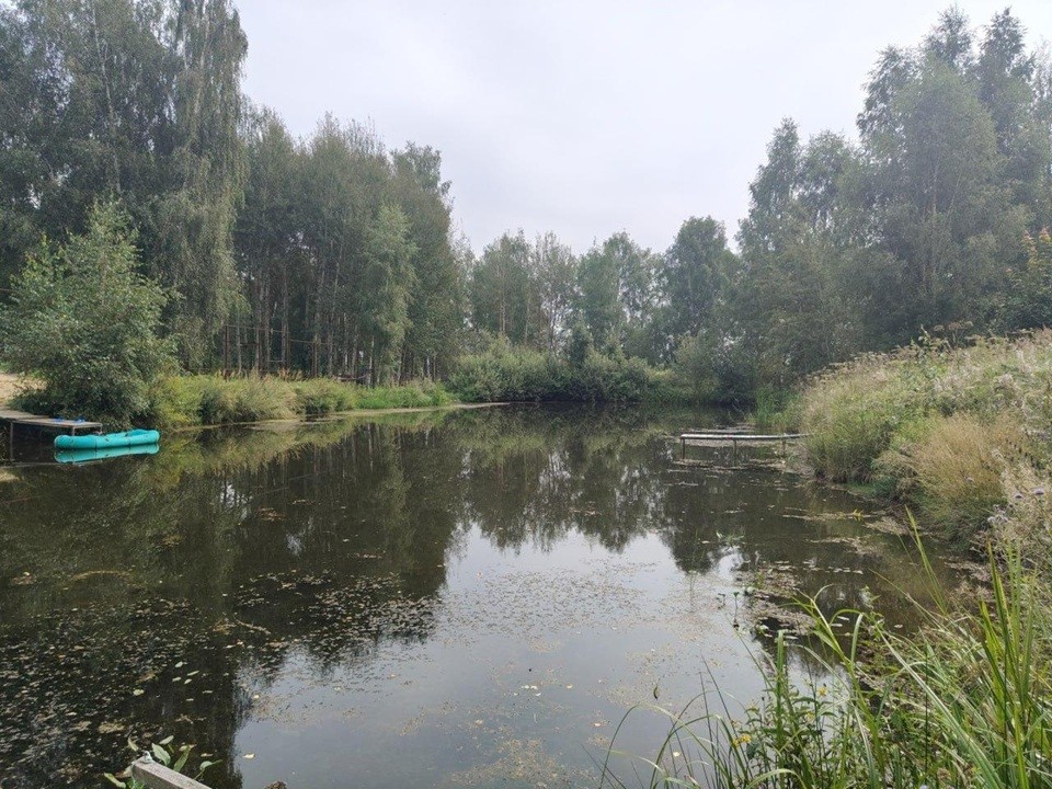 В Богородском очистят 10 прудов