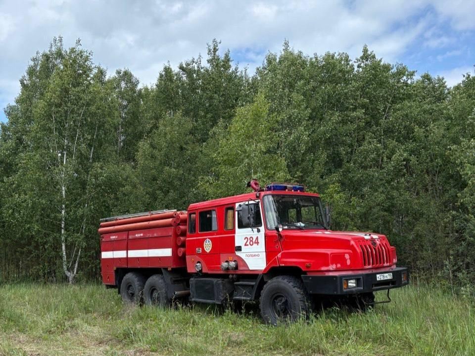 Спасатели за 1,5 часа отыскали пенсионерку, заблудившуюся в лесу в Егорьевске