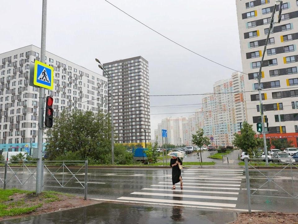 Новые светофоры будут регулировать движение у переходов возле ТЦ «4Daily»