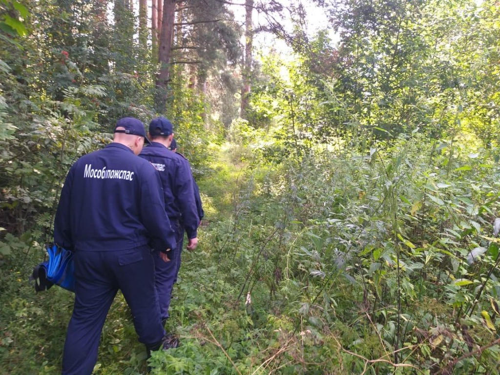 Спасатели Подмосковья рассказали, что делать при потере ориентации в лесу