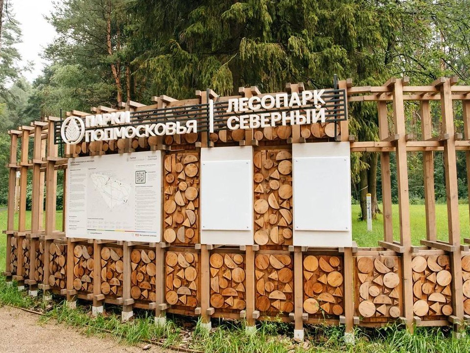 Жителей Пушкинского округа попросили бережней относиться к общественным пространствам