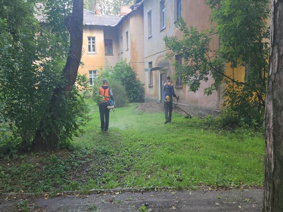На западе Пушкино привели в порядок кустарники и скосили траву