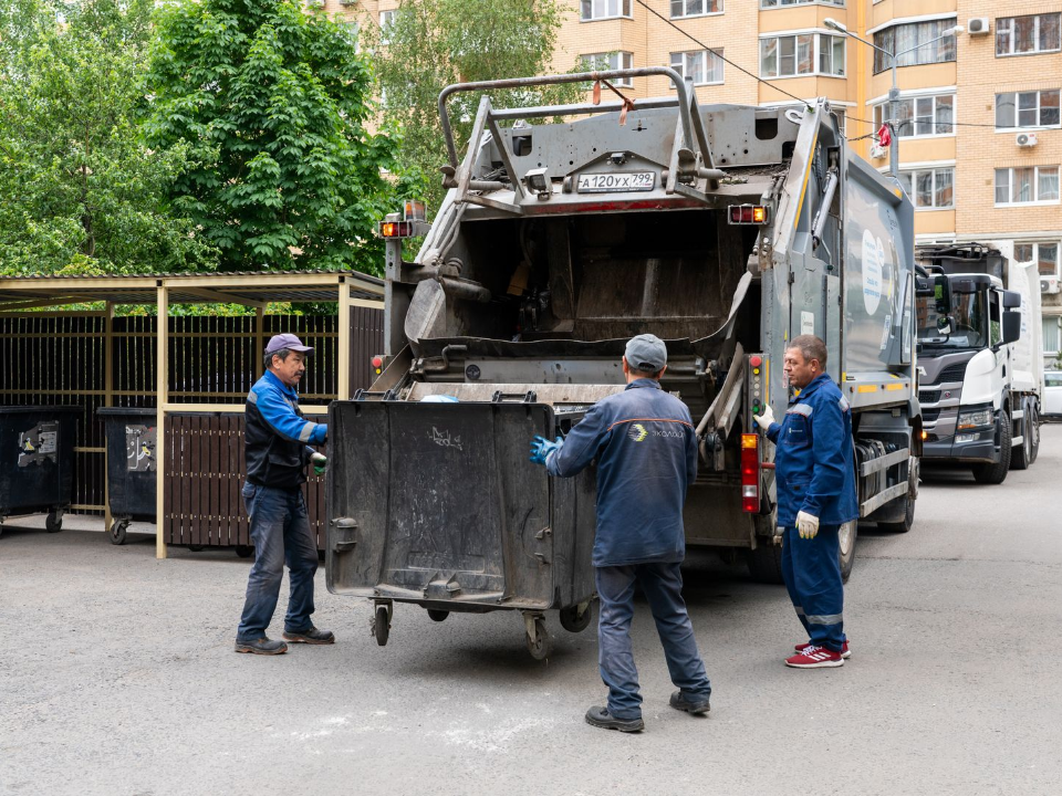 В Нахабине привели в порядок контейнерную площадку