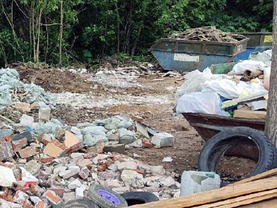 В лесах Одинцовского округа убрали 30 мусорных навалов с начала года