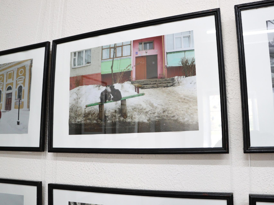 Фотовыставка «Прогулки вдвоем» откроется в Коломенском «Доме Озерова» 10 августа