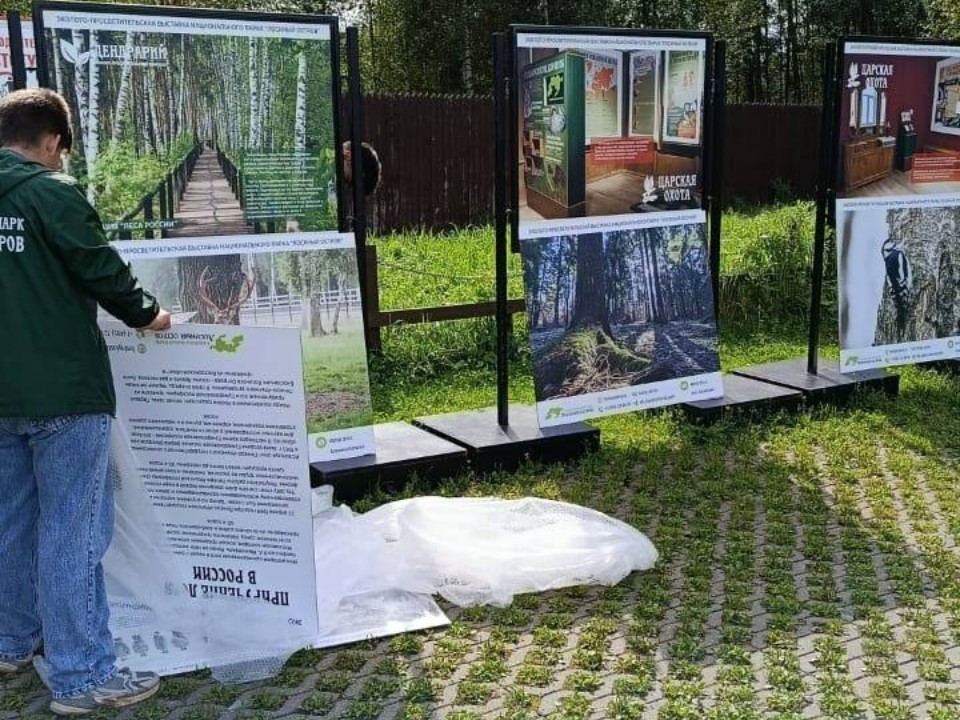 В Дендрарии «Лосиного острова» открылась фотовыставка ко дню рождения нацпарка