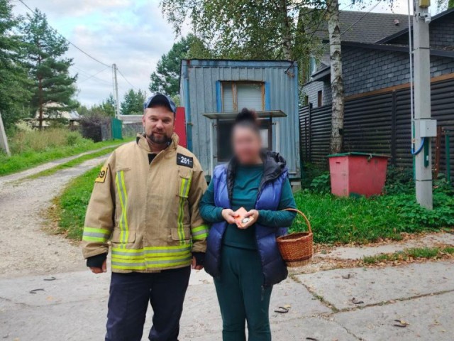 Спасатели разыскали женщину, заблудившуюся в лесу под Коломной
