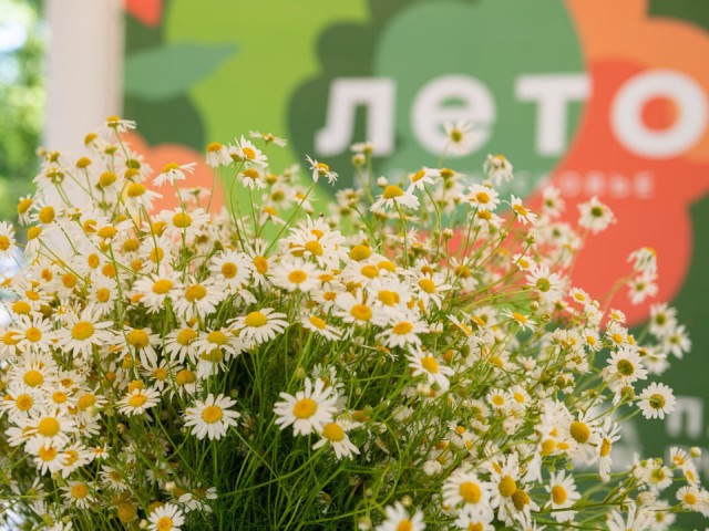 Чек-лист для счастья: что стоит сделать каждому лыткаринцу до конца лета