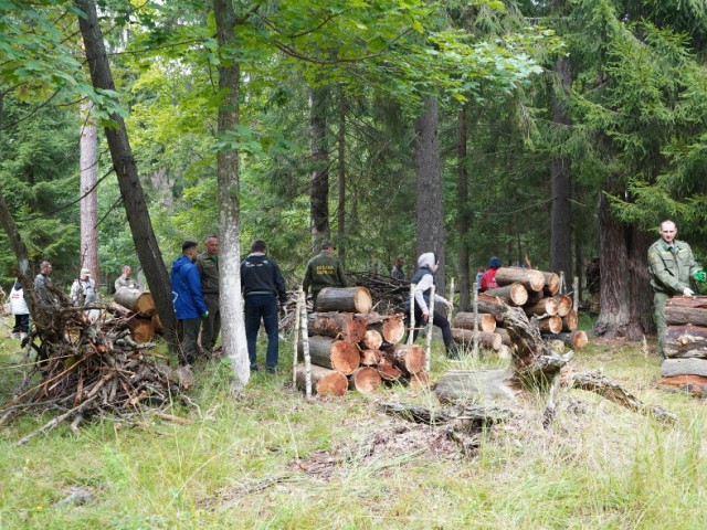 В Шатуре леса очистили от сухостоя и мусора