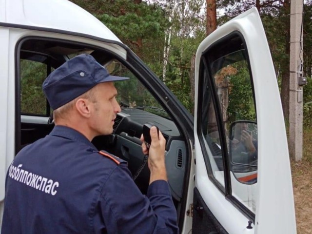 Спасатели разыскали пожилого грибника, заблудившегося в лесу в Ступине