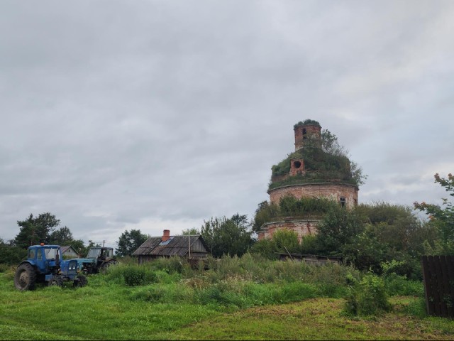 Как только прекратятся дожди, село Карачарово обработают от борщевика