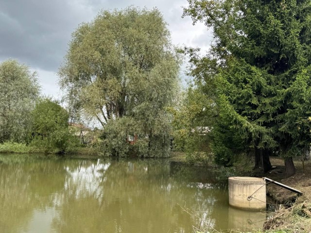 Пруд на улице Октябрьской в Можайске очистили от мусора и зарослей