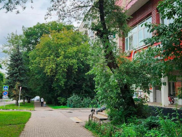 На улице Октябрьской спилили сломанную ветку дерева, нависающую над тротуаром
