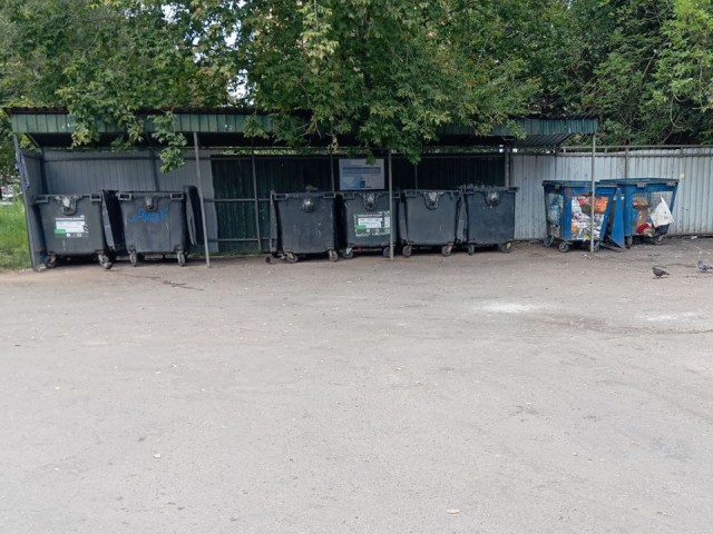 Контейнерную площадку возле продуктового магазина очистили от мусора в Красноармейске