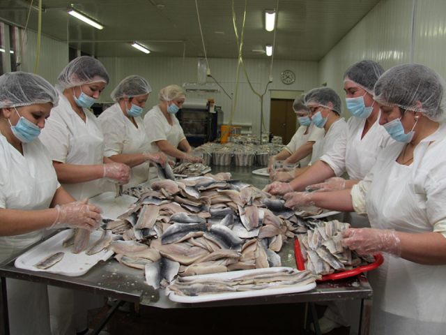 В Клину зафиксировали рост производства и розничной торговли в первом полугодии 2025 года