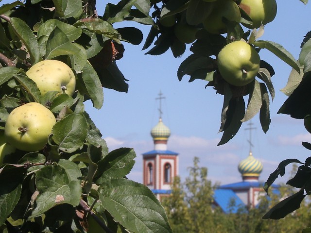Яблочный Спас: традиции и запреты на Преображение Господне