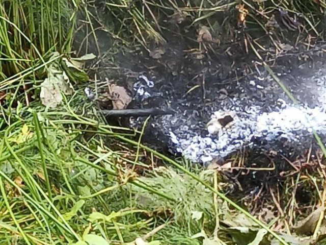 Пожарные потушили пал травы в городском округе Солнечногорск