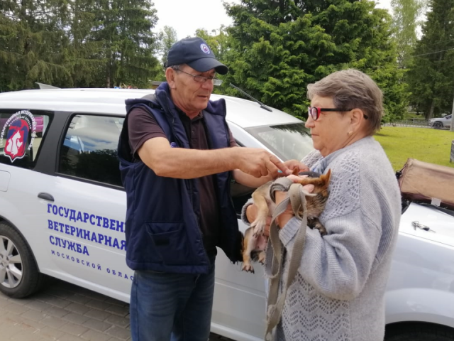 Когда и к каким дачникам приедут вакцинировать домашних питомцев