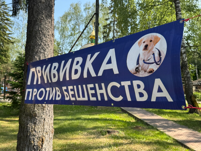 В августе в парке «Губайловский» дважды проведут бесплатную вакцинацию животных