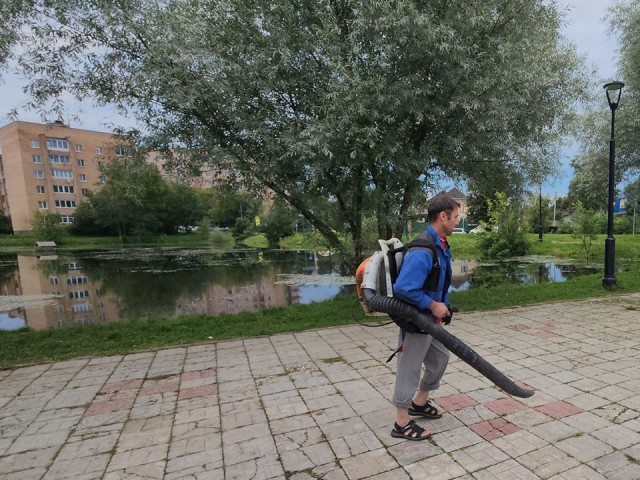Специалисты навели порядок у пруда на улице Советской в Истре