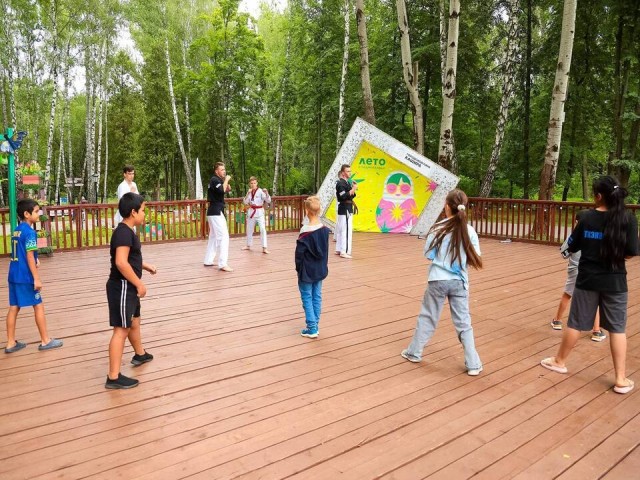 Стритбол, денсфит и тхэквондо собрали каширян в День физкультурника в городском парке