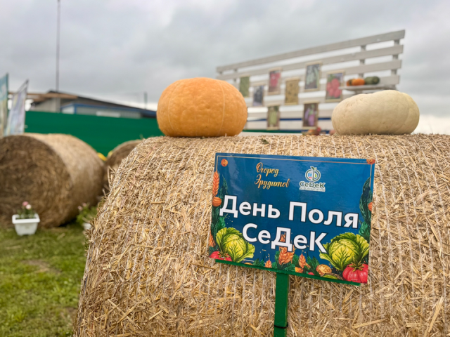 Уникальные примеры селекции представили на аграрном мероприятии в Кашире