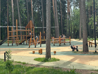 Проекты обновления городского парка и «Треугольного леса» доработают: какие пожелания учтут
