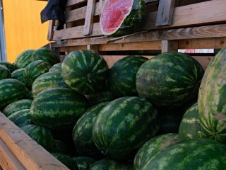В Шаховской арбузы продают на центральном сельскохозяйственном рынке