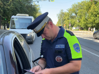 В какие дни августа пройдут тотальные проверки автовладельцев
