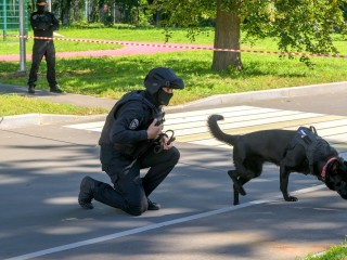 Спецслужбы и педагоги отработали действия при угрозе теракта в школах Подольска