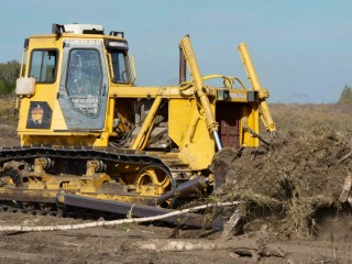 В Подмосковье вернули в оборот сельскохозяйственные земли