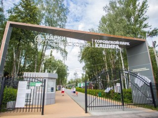 Творчество, зарядка, игры: жителей Каширы приглашают в парки