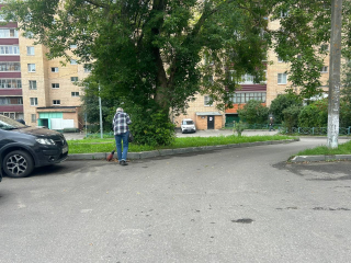 Во дворах на улице Дружбы покосят траву и заменят бордюры пешеходных дорожек