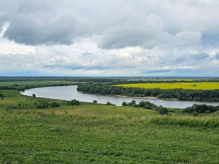 С 21 августа дневная температура в Подмосковье не превысит 16 градусов