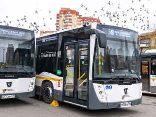 Расписание автобуса № 22 в Ивантеевке скорректируют для удобства школьников