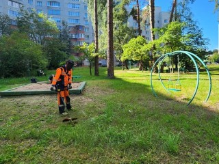 В Протвине завершили покос травы у дома 24В после обращения жителей