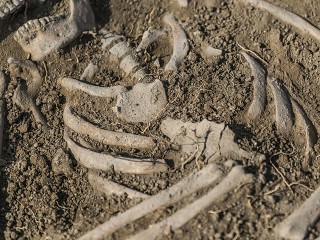 Человеческие кости обнаружили у жилищного комплекса в Королеве