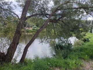 Экорейд в Раменском: выявлены нарушения в охраняемой долине рек в Кратово