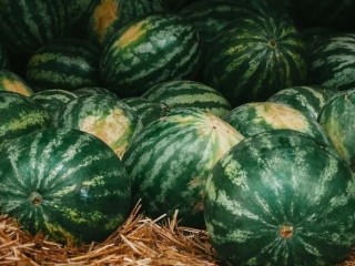 Стало известно, где в Кашире можно купить арбузы